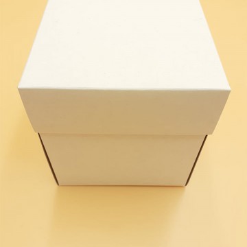 Μπιζόκουτο Χάρτινο No14  11*11*11.6 Κύβος (Κραφτ-Λευκό)