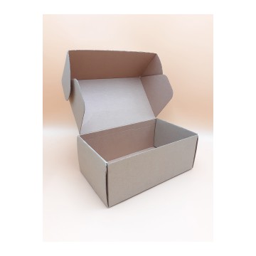 Κουτί Courier 25 x 15 x 10 cm