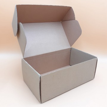 Κουτί Courier 25 x 15 x 10 cm