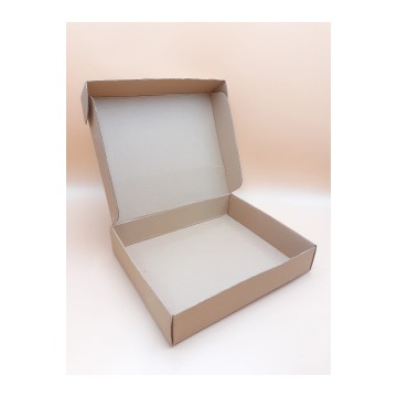 Κουτί Courier 29,5 x 24 x 6 cm