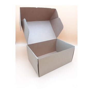 Κουτί Courier 31 x 22 x 15 cm
