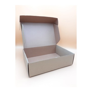 Κουτί Courier 35 x 25 x 10 cm