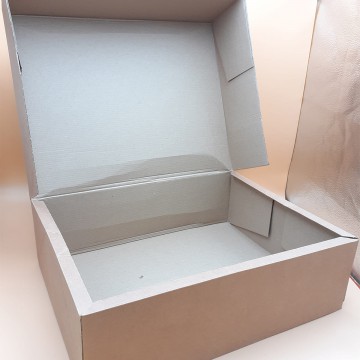 Κουτί Courier 50 x 40 x 15 cm