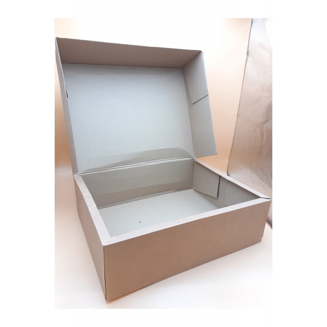 Κουτί Courier 50 x 40 x 15 cm